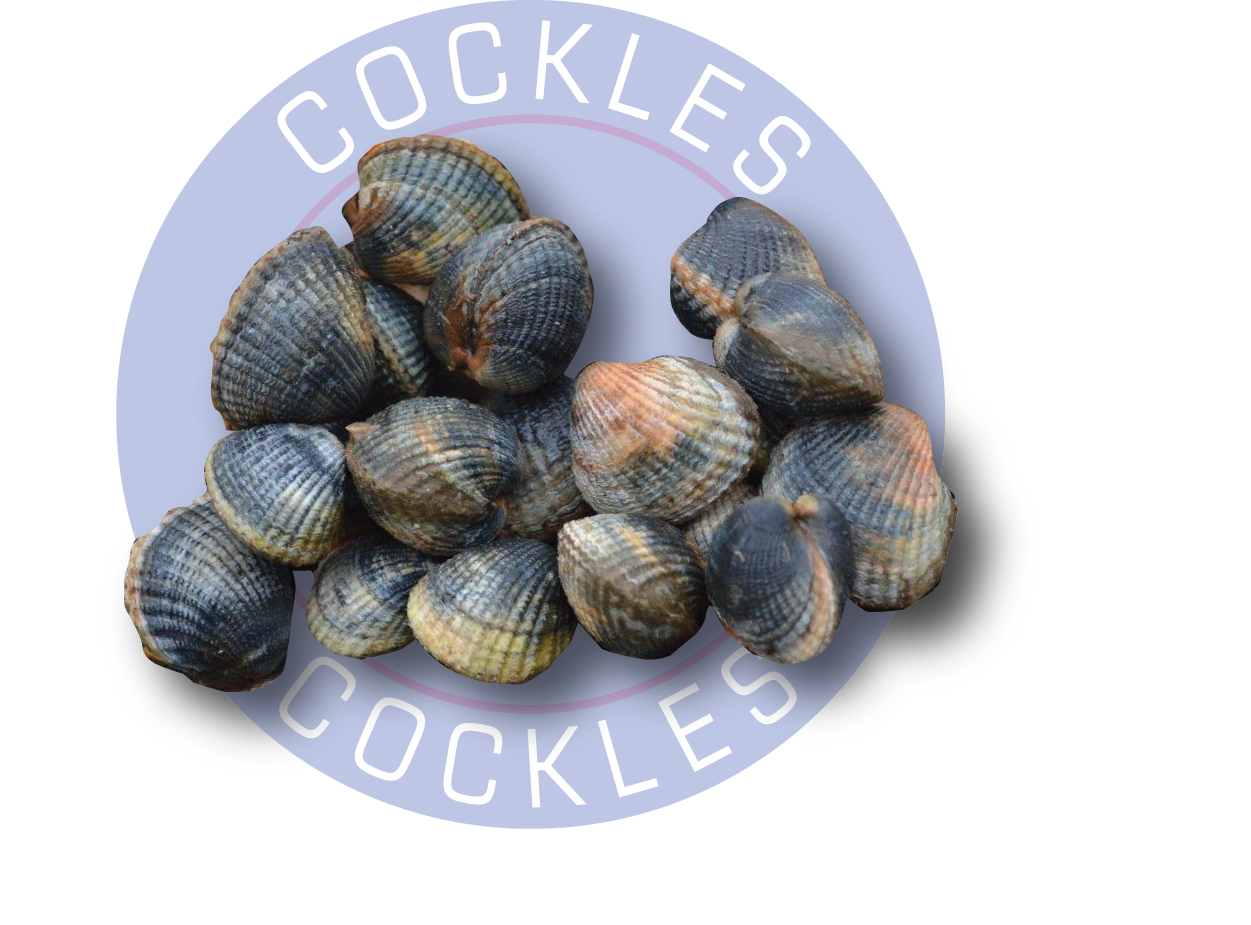 Frozen Cooked Crab 8/1 kg The Fish Man Fresh Fish Delivered Door‎